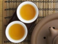 苦蕎茶與梔子花可以泡茶嗎？