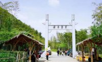 5月12日：徒步貢茶古道，天然氧吧，綠色之旅